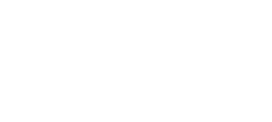 Poligin logo