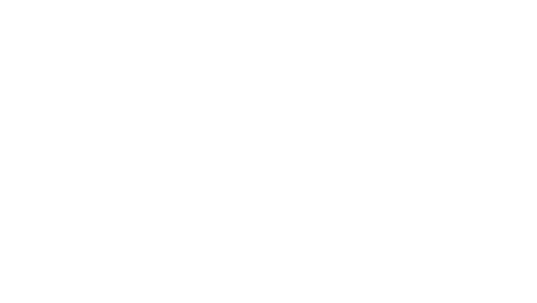 Sania logo