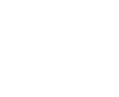 laScintilla logo